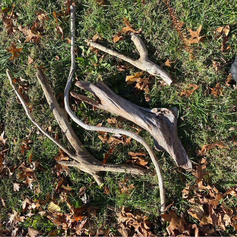 Small pieces of driftwood.